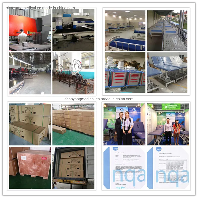 Cy-C105 Athena-Flat New Style Best Seller Adjustable Electric Power Lift Cosmetic Treatment Bed Physiotherapy Bed Massage Table