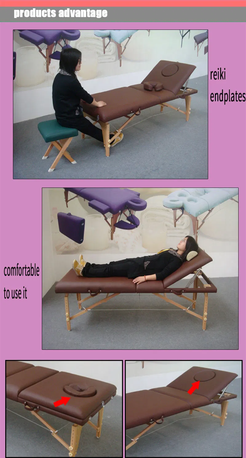 Portable Massage Bed Beauty Chair Beauty Equipment Salon Furniture Medical Equipment